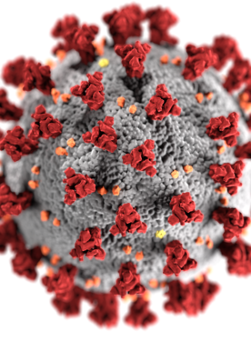 A rendering of the coronavirus COVID-19